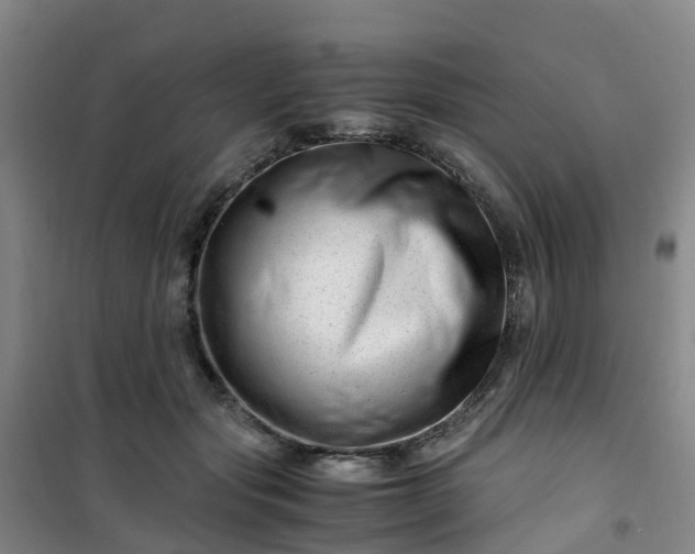 X0000101170557200807111054