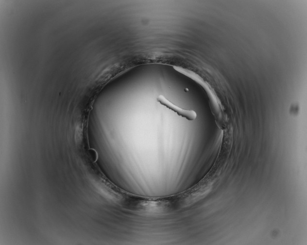 X0000101170558200807111054