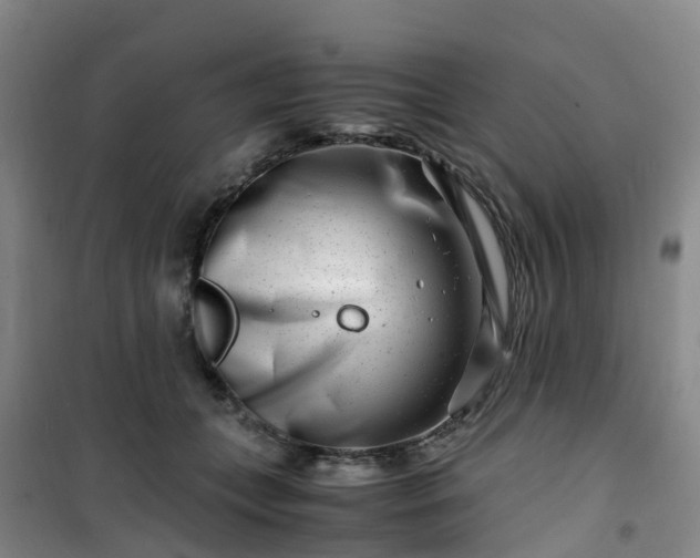 X0000101170559200807111054