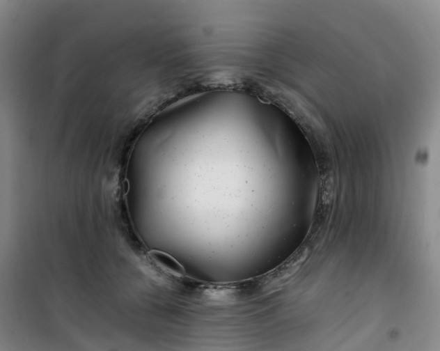 X0000101170560200807111054