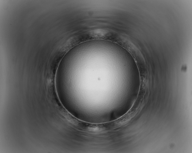 X0000101170561200807111054