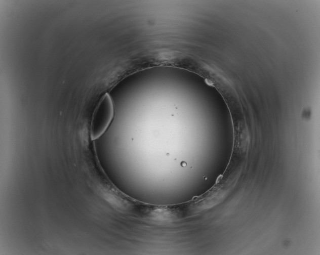 X0000101170562200807111054