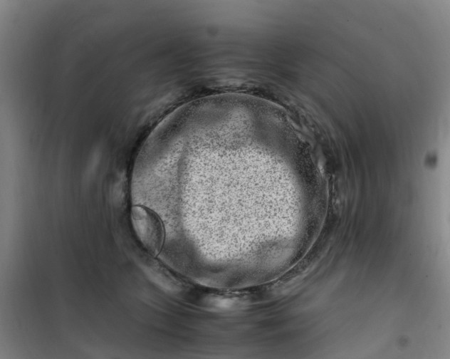 X0000101170563200807111054