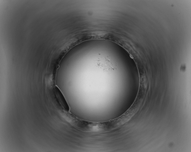 X0000101170564200807111054