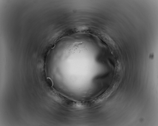 X0000101170565200807111054