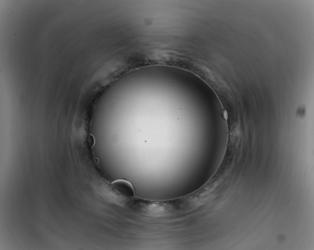 X0000101170566200807111054