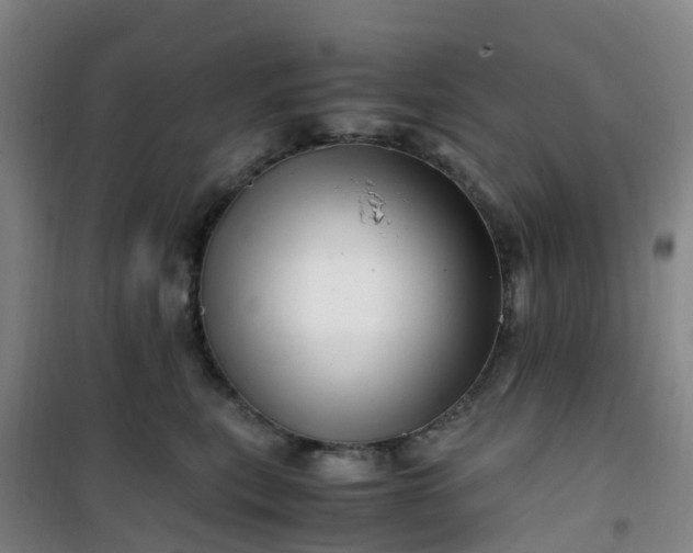 X0000101170567200807111054