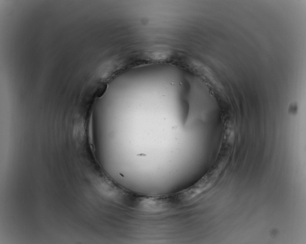 X0000101170568200807111054