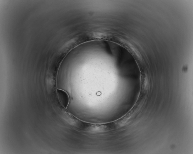X0000101170569200807111054