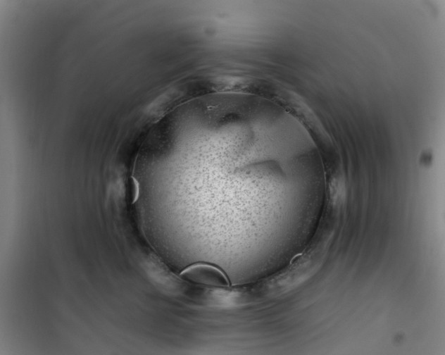 X0000101170570200807111054