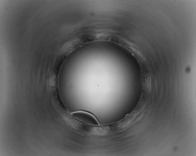 X0000101170571200807111054