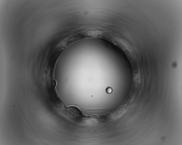 X0000101170572200807111054