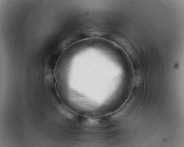 X0000101170573200807111054