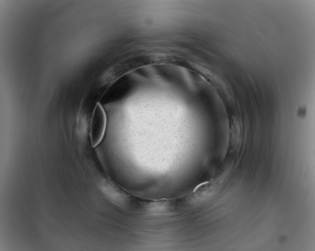 X0000101170574200807111054