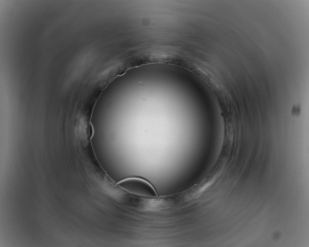 X0000101170575200807111055
