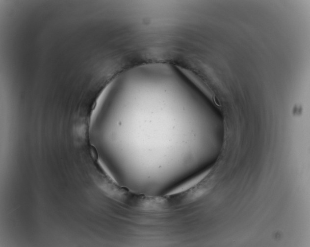 X0000101170576200807111055