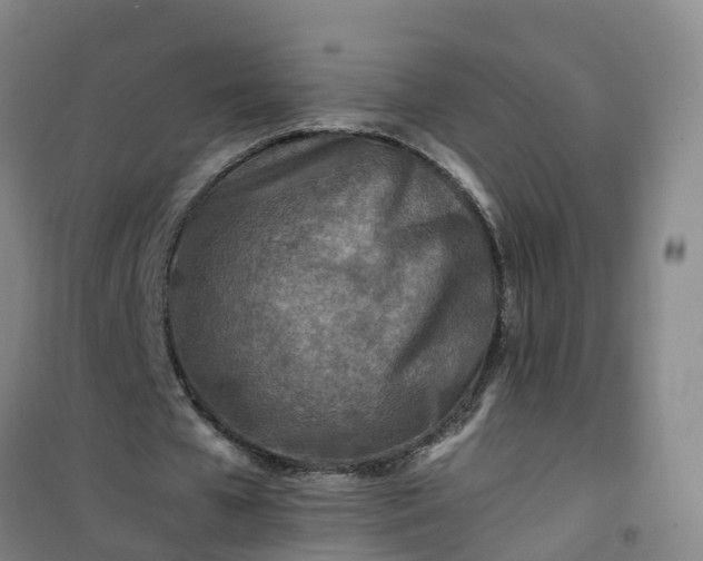 X0000101170577200807111054