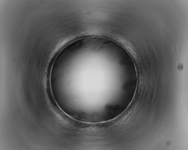 X0000101170578200807111054