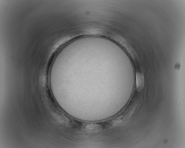 X0000101170579200807111054