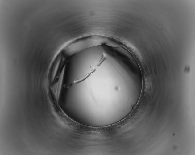 X0000101170580200807111054