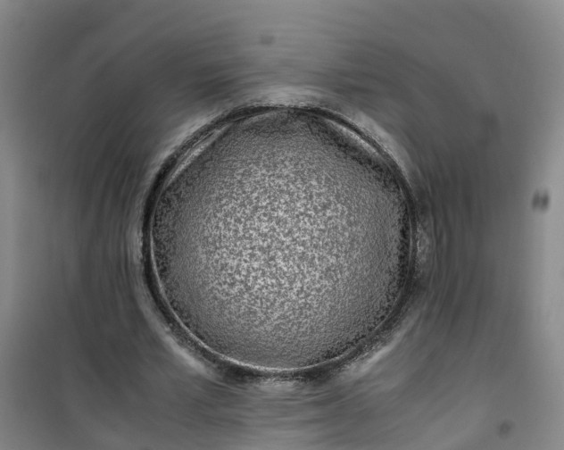 X0000101170581200807111054