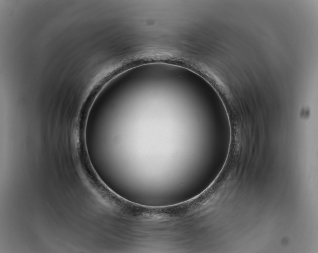 X0000101170582200807111054