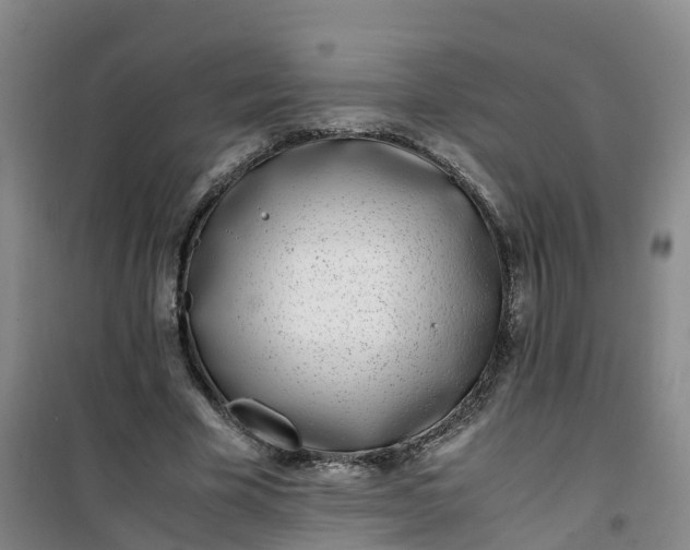 X0000101170585200807111054