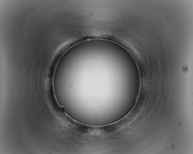 X0000101170587200807111054