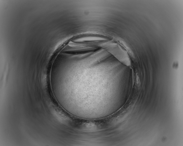 X0000101170588200807111054