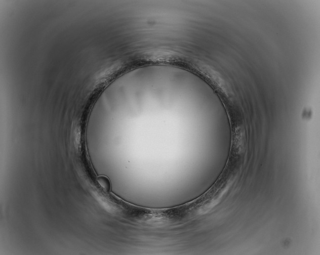 X0000101170589200807111054