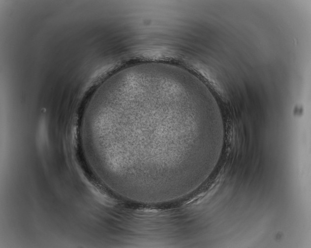 X0000101170590200807111054