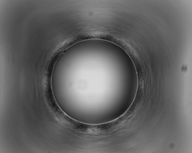 X0000101170591200807111054