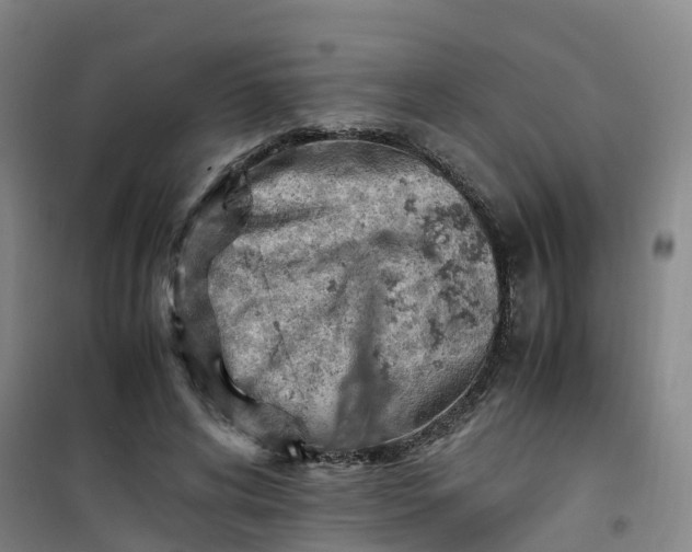 X0000101170592200807111054