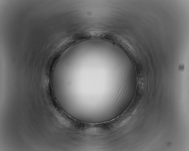 X0000101170593200807111054