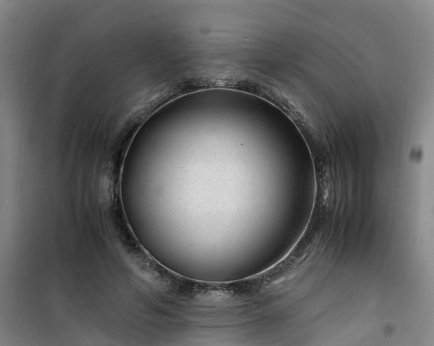 X0000101170594200807111054