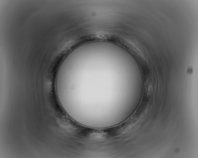 X0000101170595200807111054