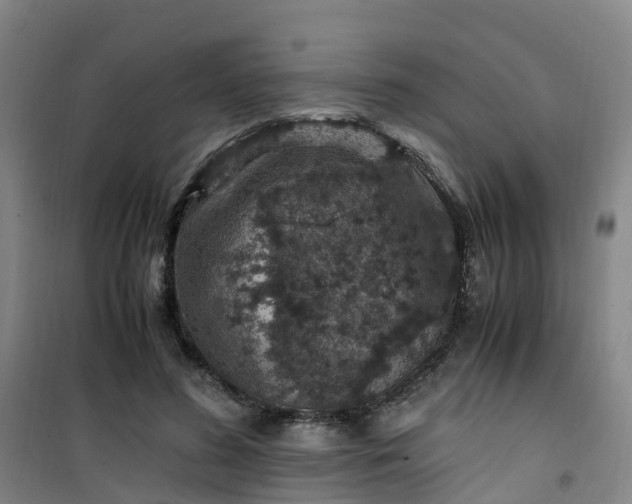 X0000101170596200807111054