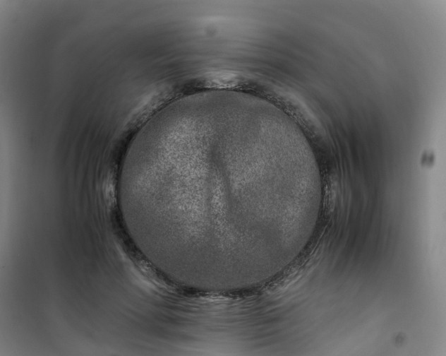 X0000101170598200807111054
