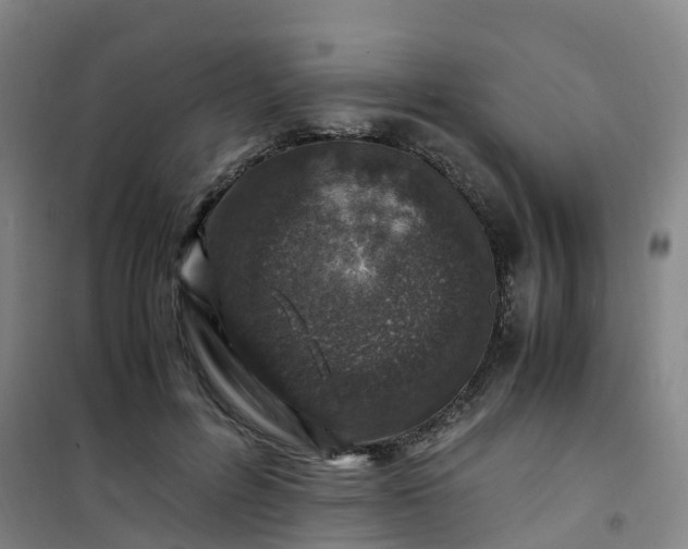 X0000101170600200807111054