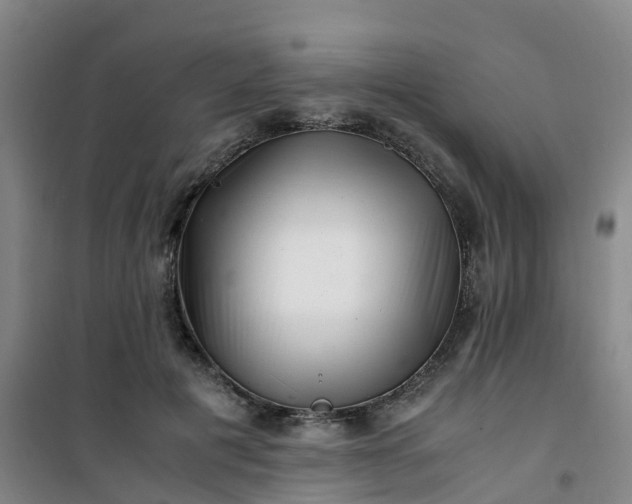 X0000101170601200807111053