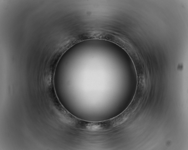 X0000101170602200807111053