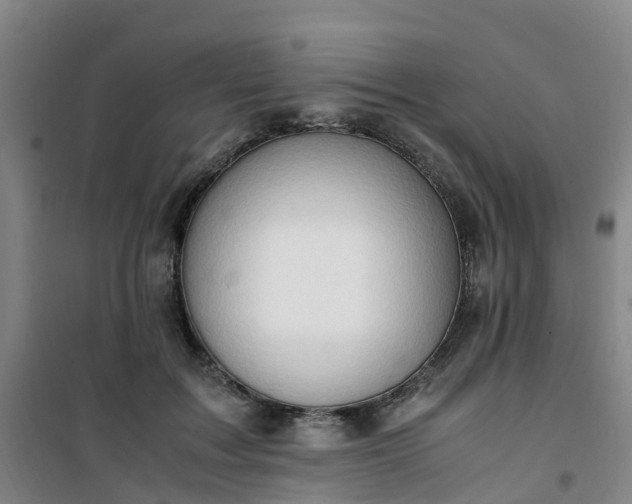 X0000101170603200807111053
