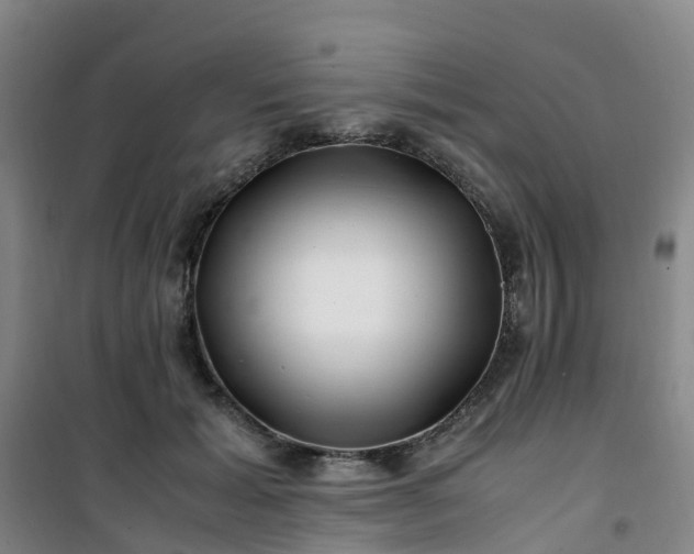 X0000101170605200807111053