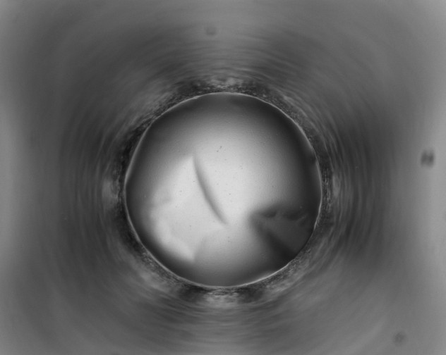 X0000101170606200807111053