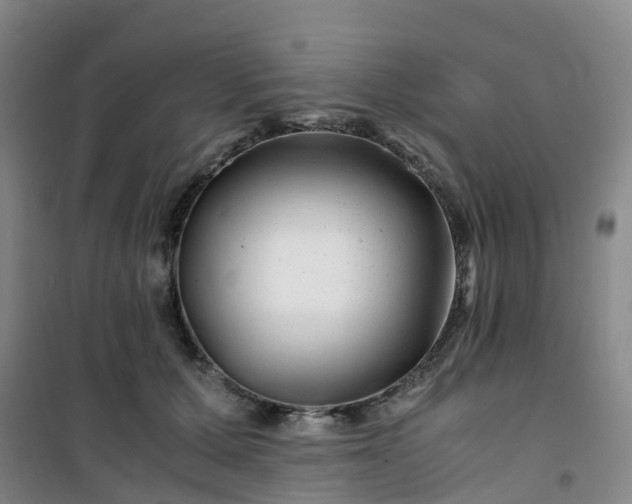 X0000101170607200807111053