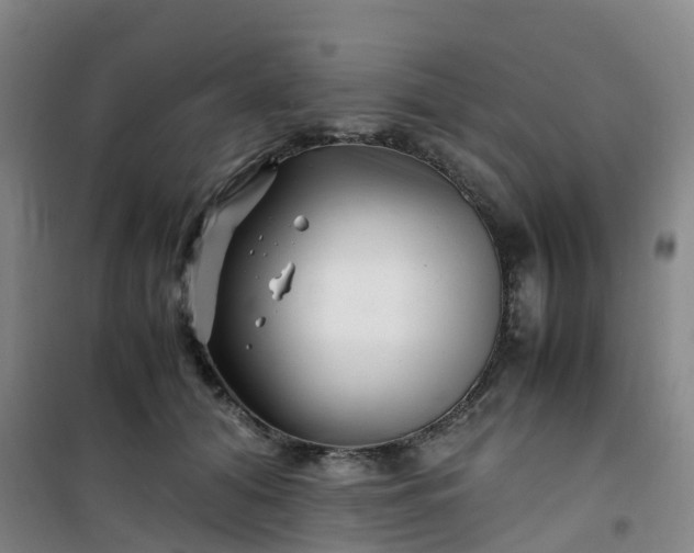 X0000101170608200807111053