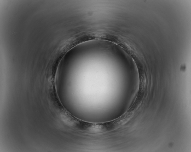 X0000101170609200807111053