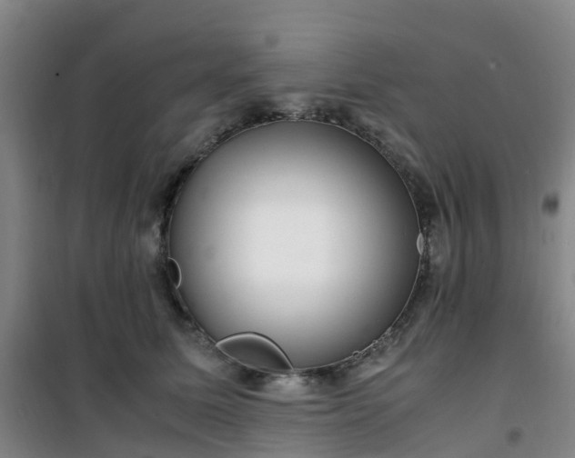 X0000101170611200807111053