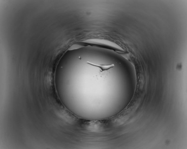 X0000101170612200807111053