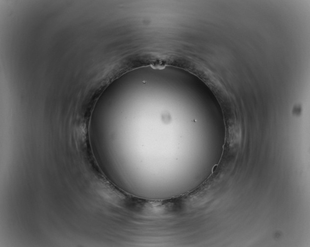 X0000101170613200807111053